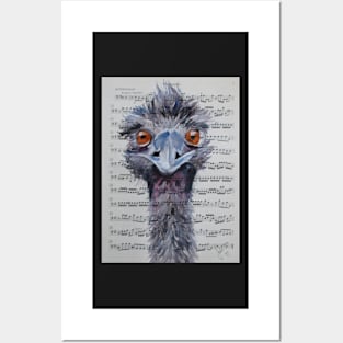 Comical Emu Posters and Art